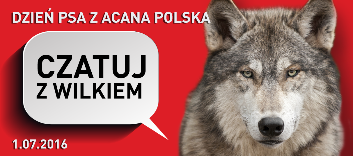 aktualnosc czatuj z wilkiem
