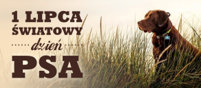 Dzień Psa w Acana Polska