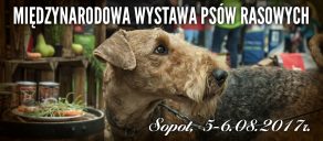 Wystawa Psów Sopot