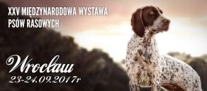 Wystawa Psów Rasowych Wrocław