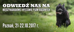 Wystawa Poznań
