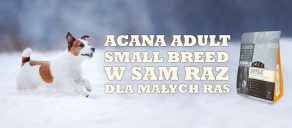 acana small breed