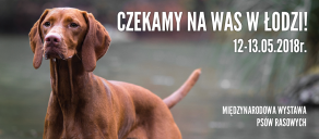 Wystawa w Łodzi
