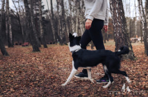 Jagna-Aku-Acana-Polska