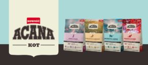 Nowość! Nowa ACANA dla kotów