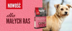 Nowość! ORIJEN Small Breed dla małych ras