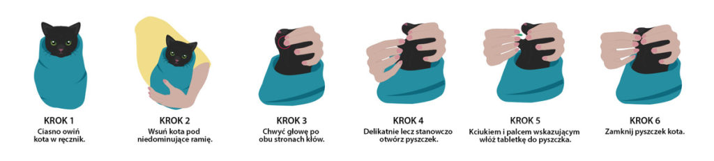 Jak podać kotu tabletkę? Kocie burrito