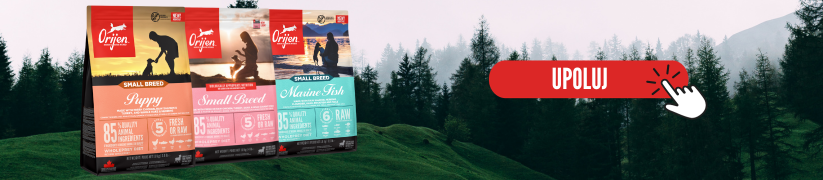 Upoluj ORIJEN Small Breed dla małych ras