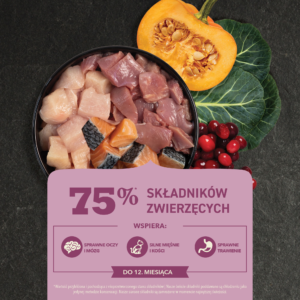 Wysokobiałkowa karma dla kociąt ACANA Kitten