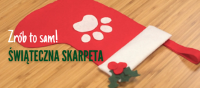 Zrób świąteczną skarpetę dla psa. Wskazówki krok po kroku DIY