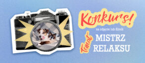 Mistrz relaksu