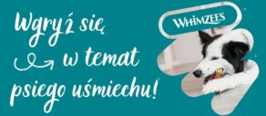 Gryzaki dentystyczne