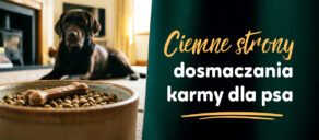 Ciemne strony dosmaczania